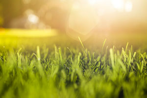 空氣和廢氣檢測(cè)