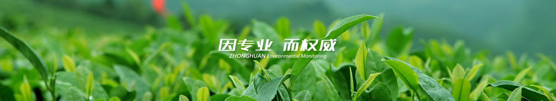 中環(huán)檢測成功案例