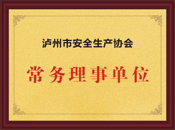 瀘州市安全生產(chǎn)協(xié)會(huì)常務(wù)理事單位